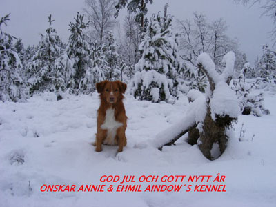 God Jul, Annie & Ehmil!