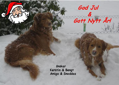 God Jul, Kerstin & Bengt!