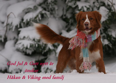God Jul, Hkan & Viking med familj!