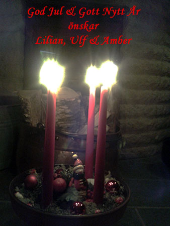 God Jul, Ulf & Lilian!