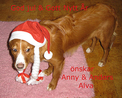 God Jul, Anny & Anders!