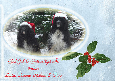 God Jul, Lotta & Tommy!