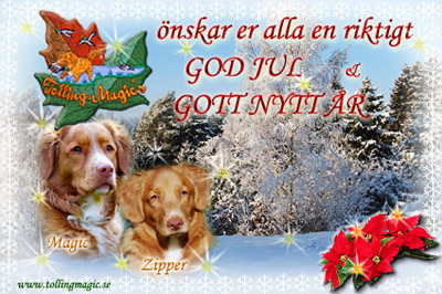God Jul, Laila & Bengt!